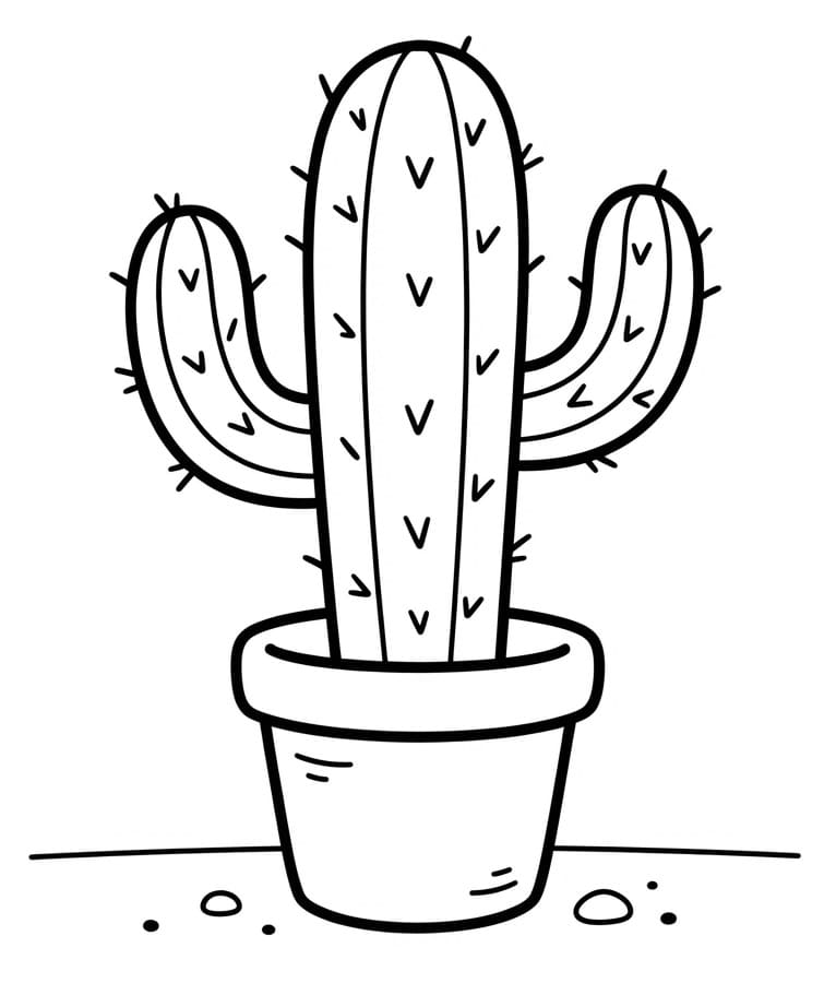 Gratis cactus