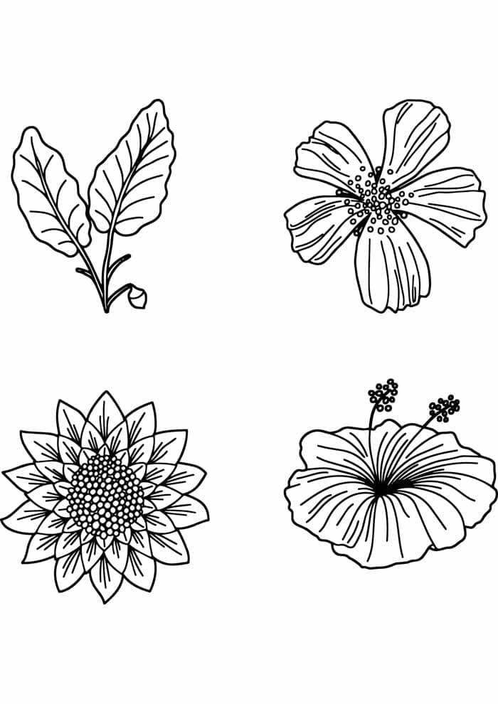Gratis downloadbare bloem