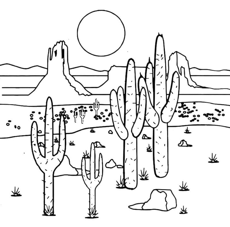 Gratis downloadbare cactus