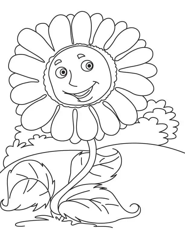 Gratis downloadbare zonnebloem