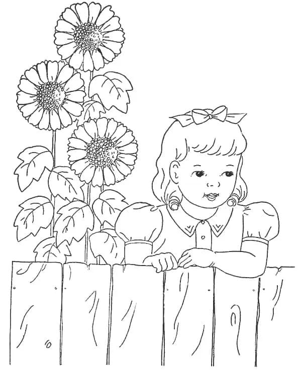 Gratis zonnebloem afbeelding