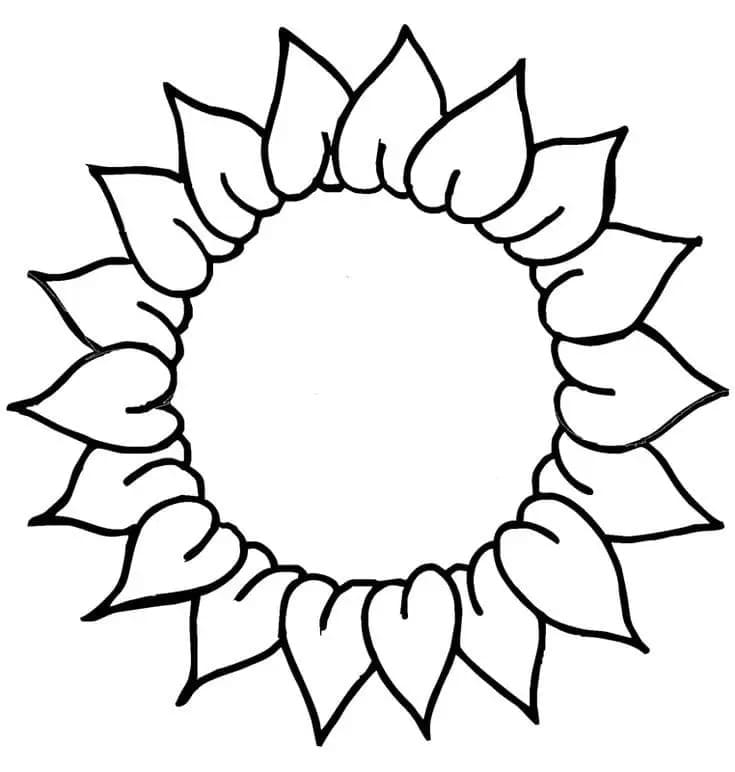 Gratis zonnebloem om af te drukken