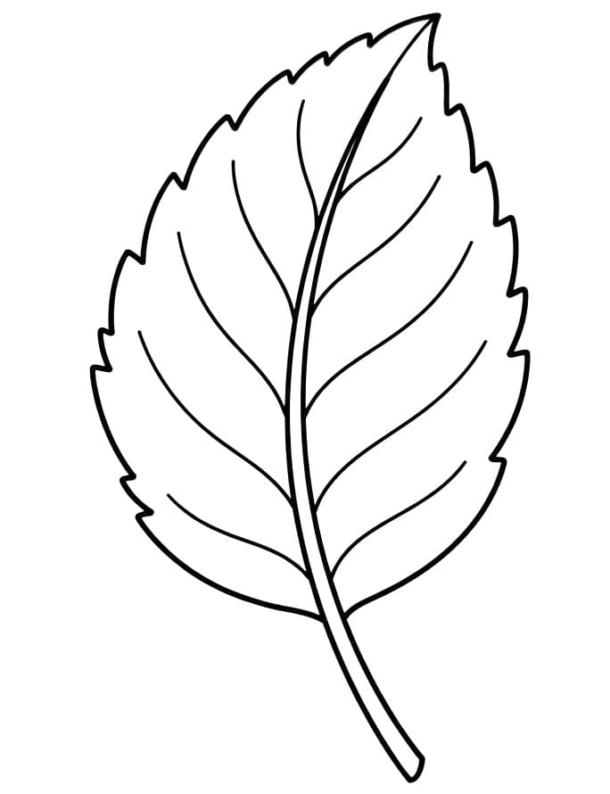 Groen blad