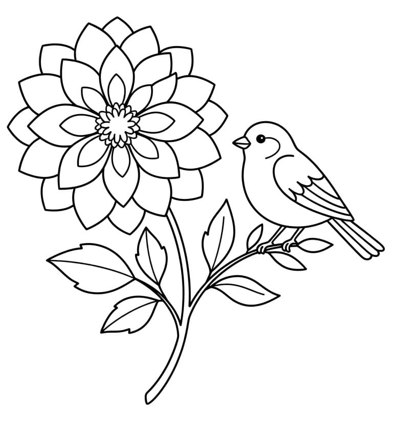 Heel schattige Dahlia