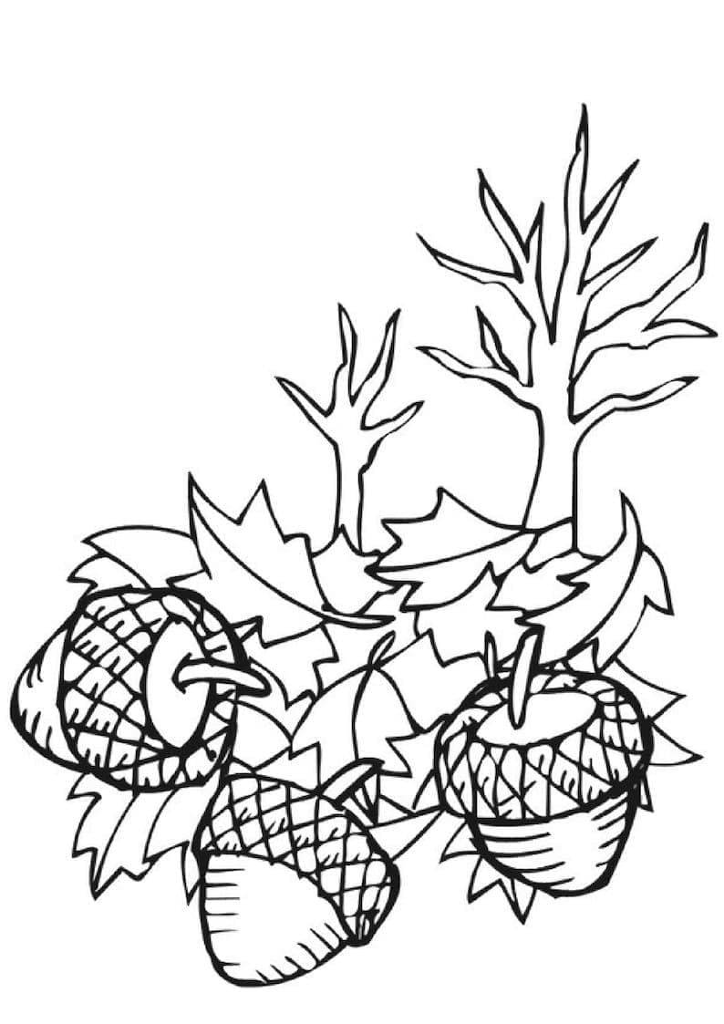 Herfst voor kinderen van 4 jaar