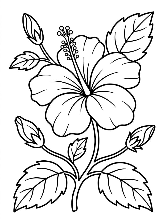 Hibiscus afdrukbaar voor kinderen