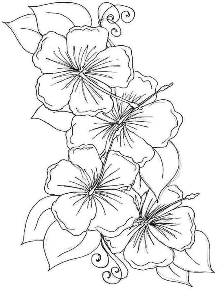 Hibiscus afdrukbare afbeelding