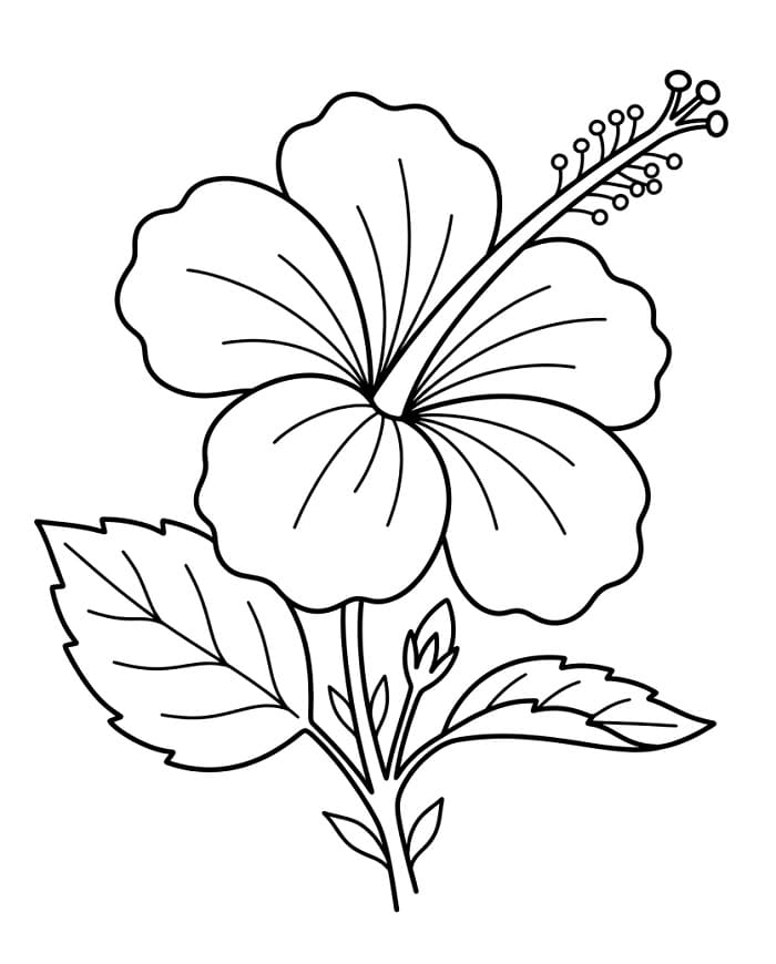 Hibiscus gratis printbaar