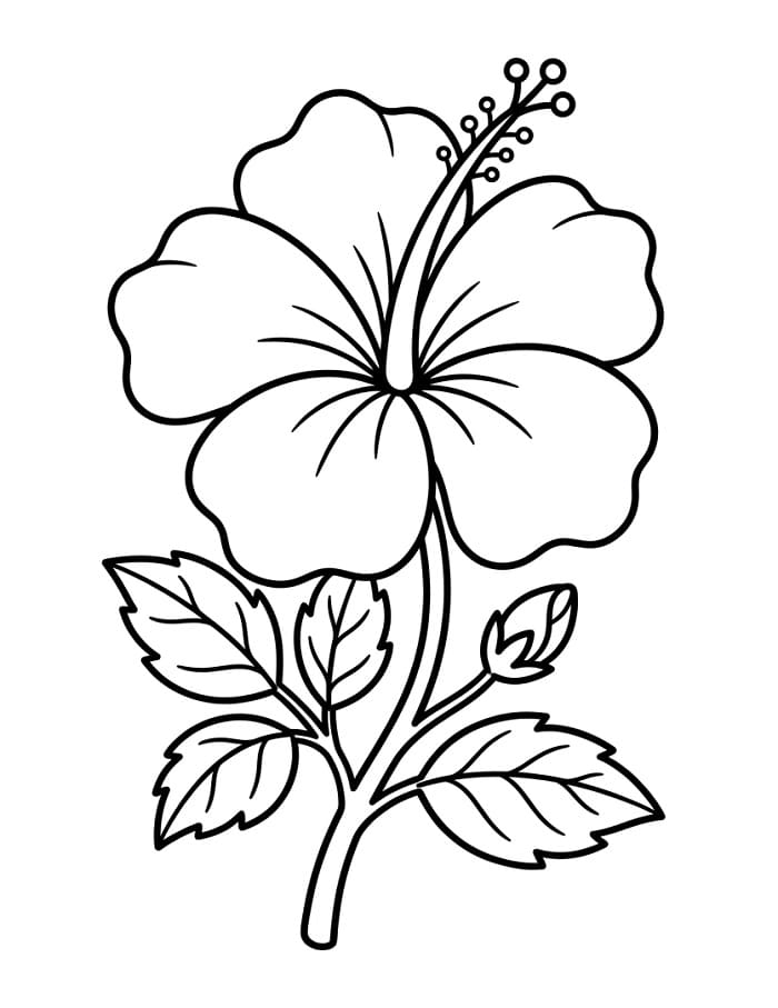 Hibiscus om te printen