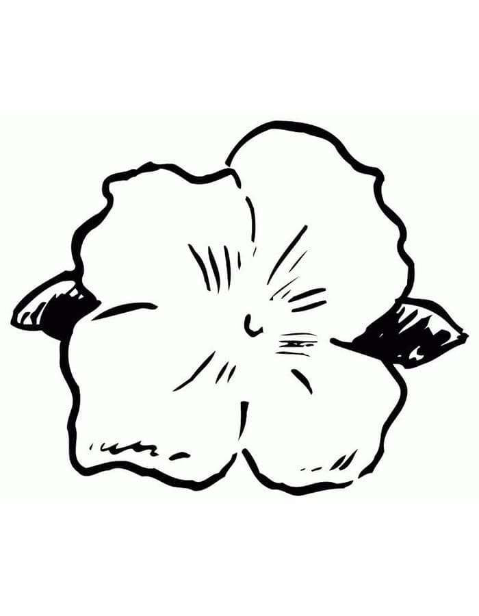 Hibiscus voor kinderen van 2 jaar