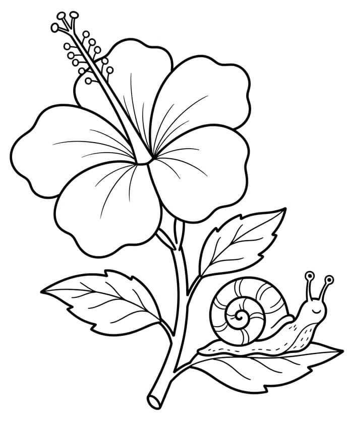 Hibiscusbloem