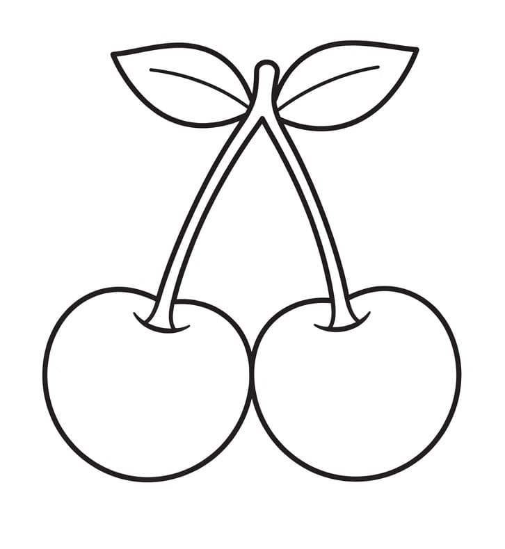 Kersen fruit