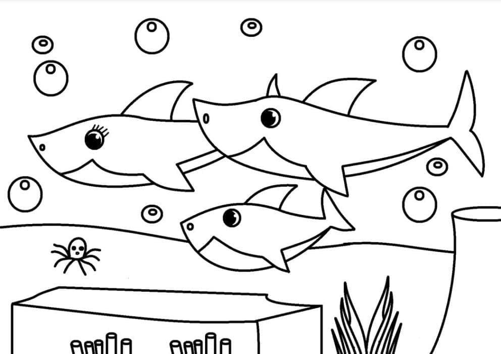 Kleine Baby Shark