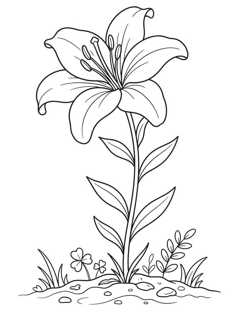 Leliebloem