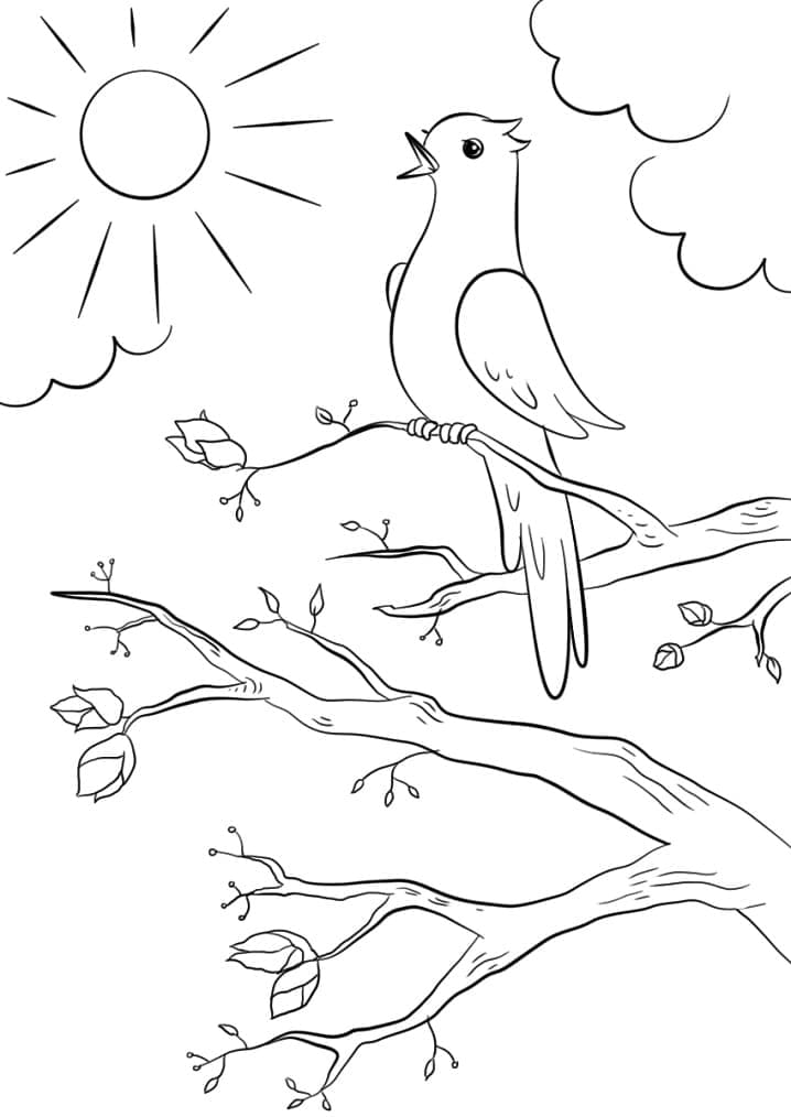 Lente 5