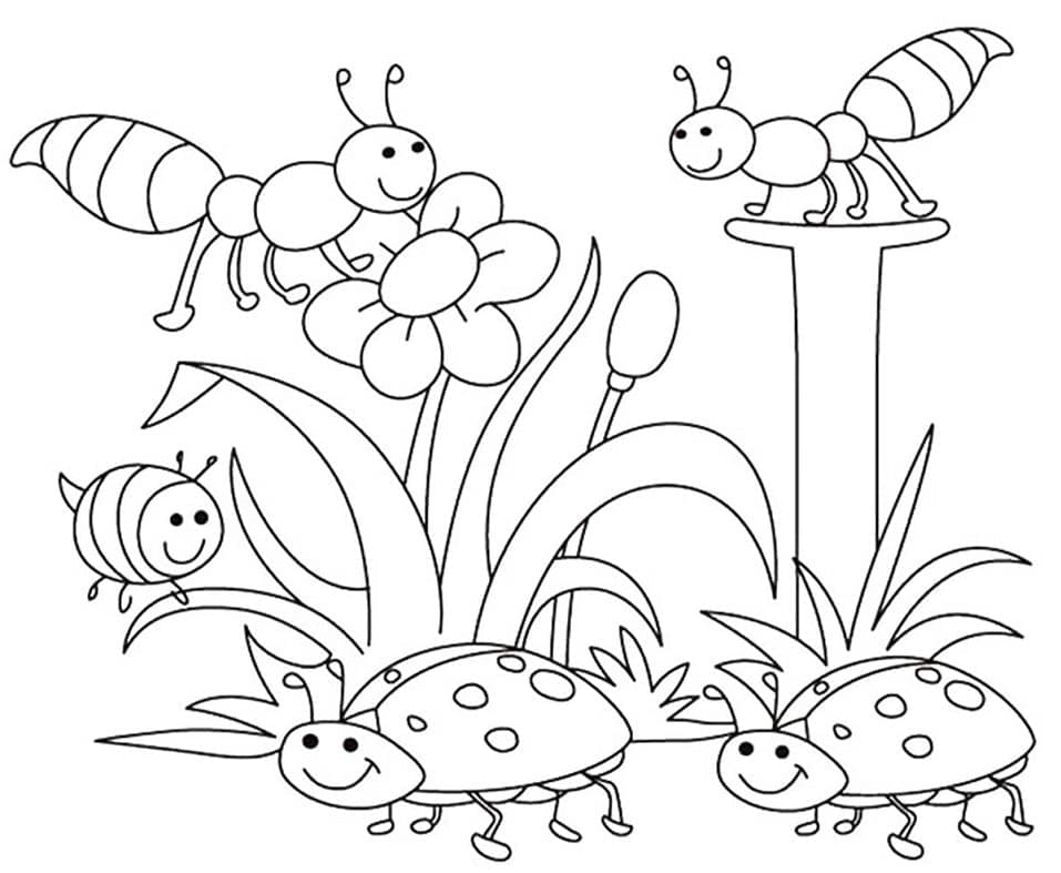 Lente 6
