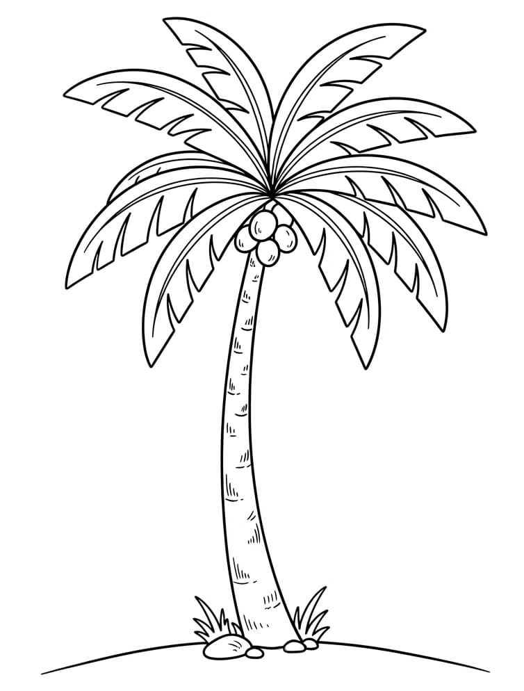 Leuke Palmboom