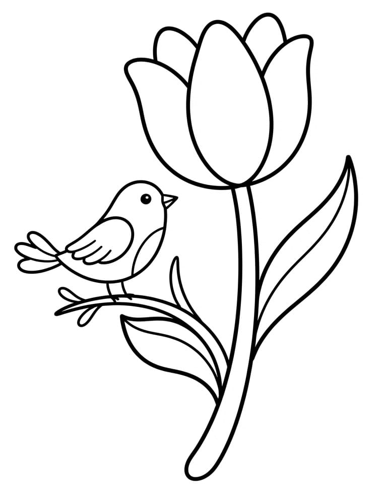 Leuke Tulp