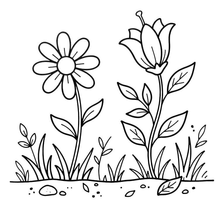 Bloemen kleurplaat