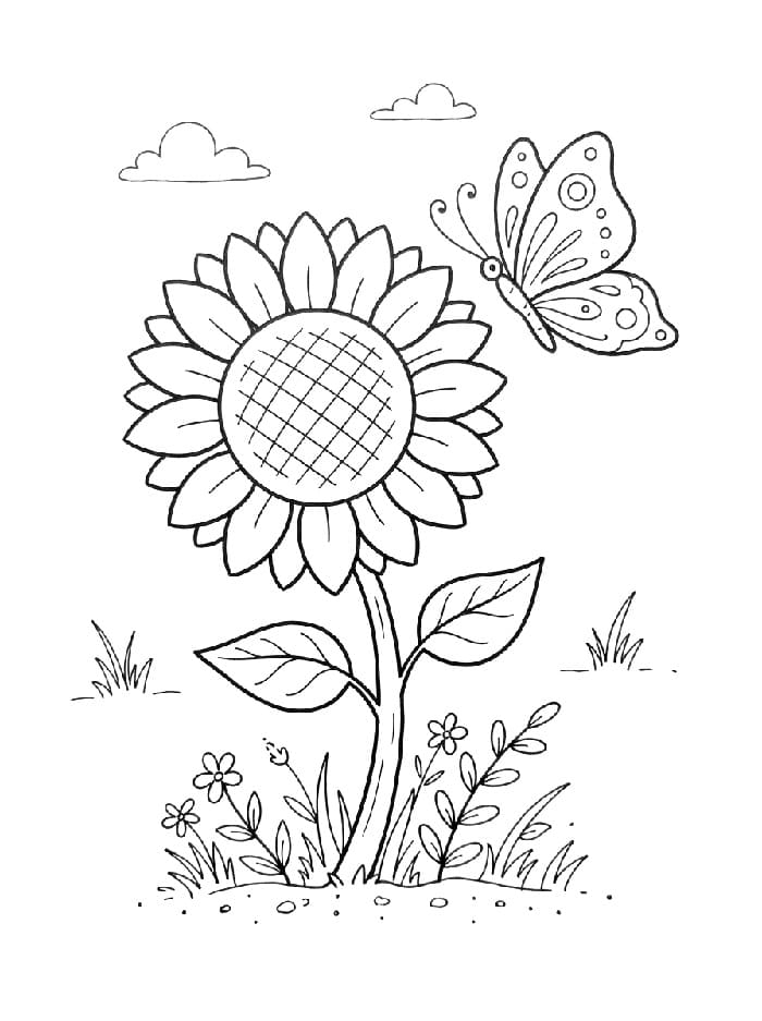 Lieve zonnebloem