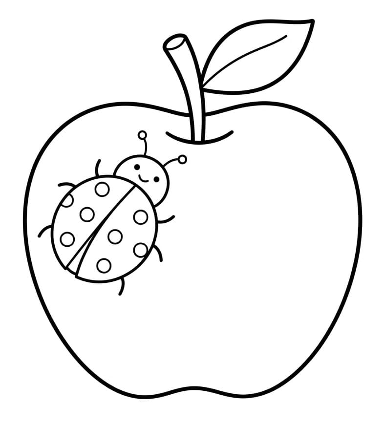 Lieveheersbeestje op appel