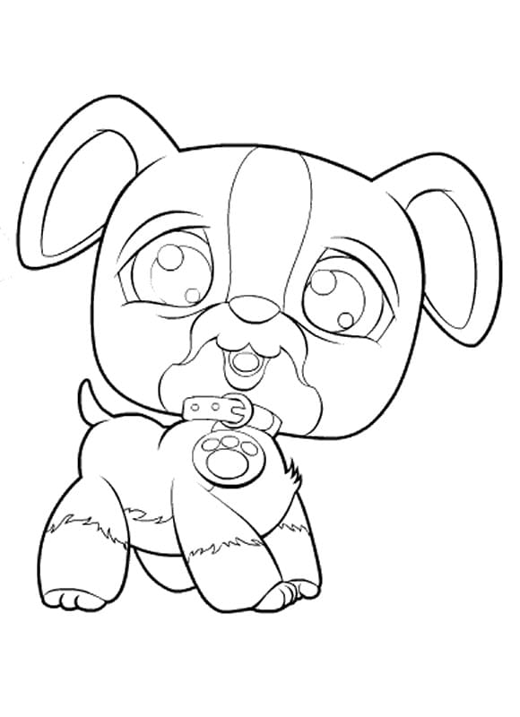 Littlest Pet Shop (4)