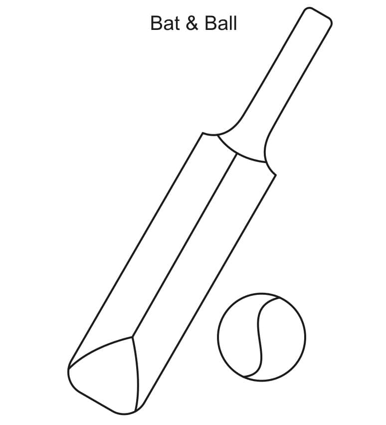 Makkelijk Cricket