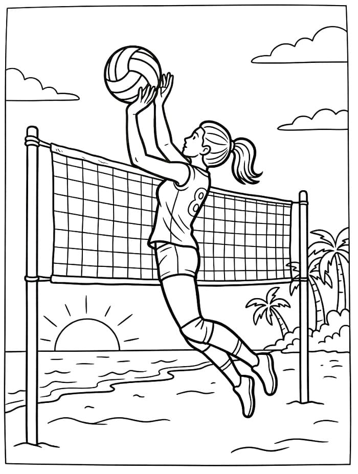 Makkelijk Volleybal