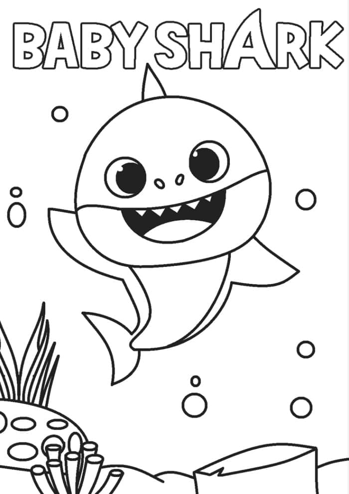 Makkelijke Baby Shark