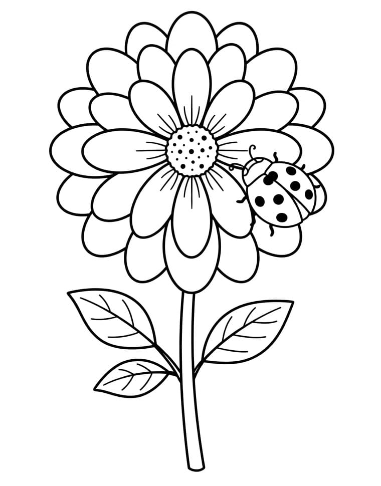 Mooie Dahlia