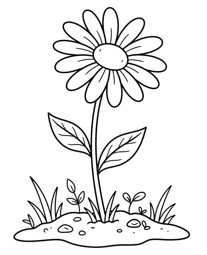 Mooie bloem