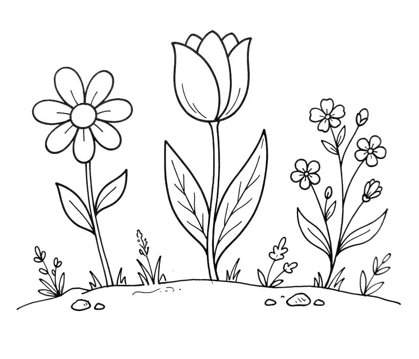 Mooie bloemen