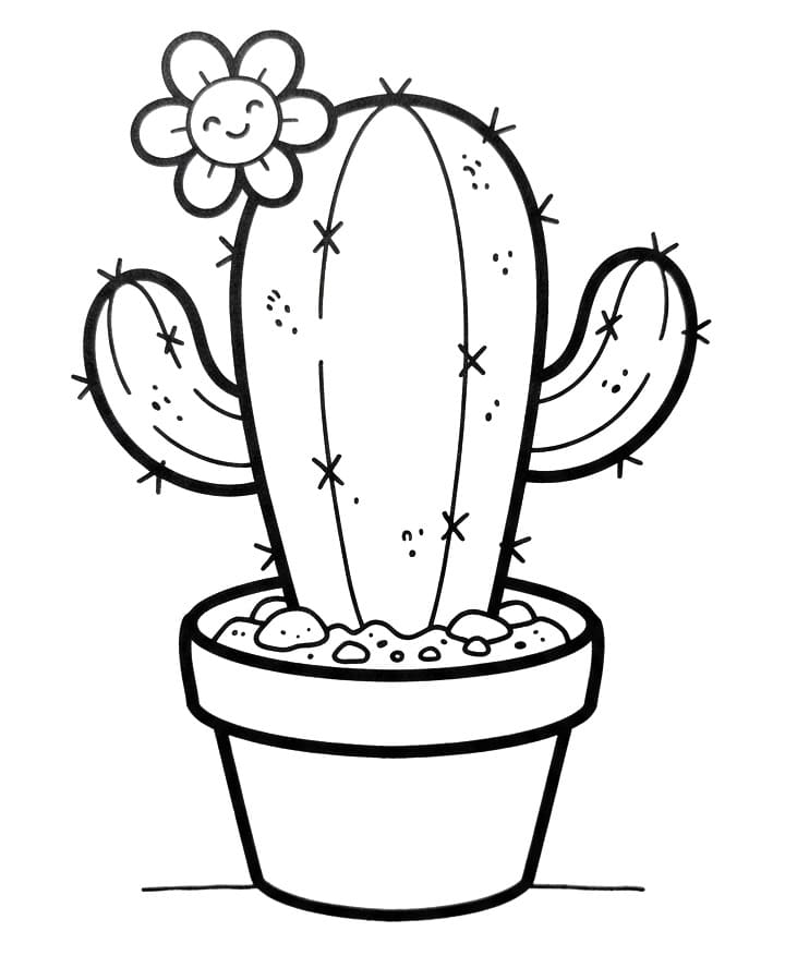 Mooie cactus