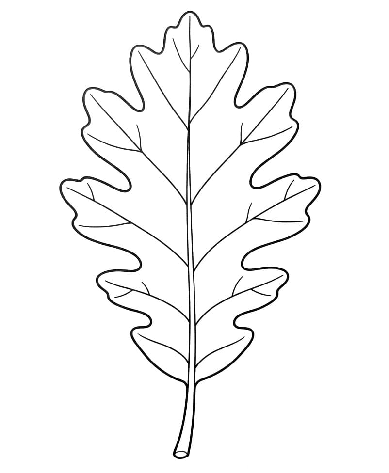 Normaal blad