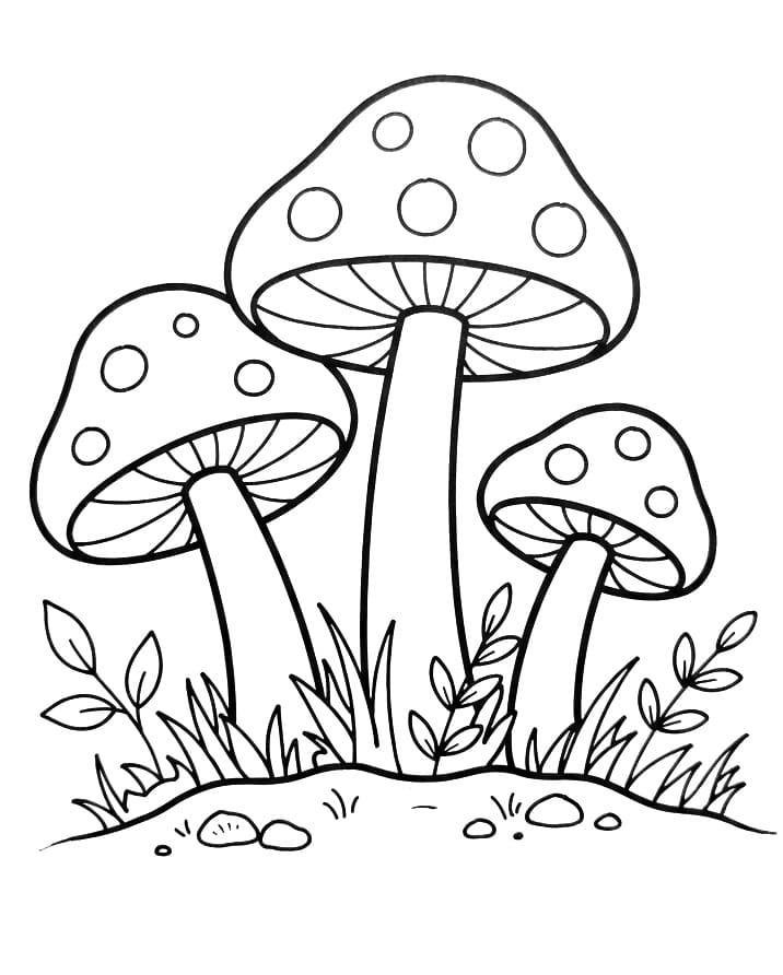 Normale paddenstoelen
