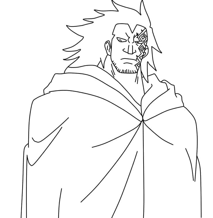 One Piece Afbeelding