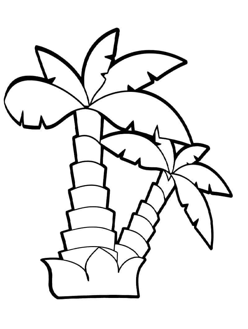 Palmboom 1