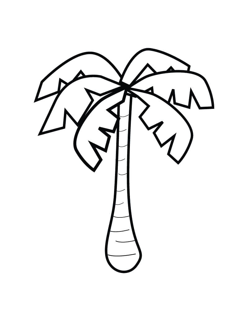 Palmboom 2