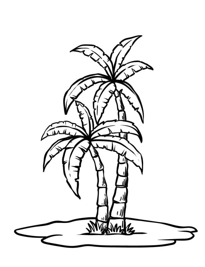 Palmboom afbeelding