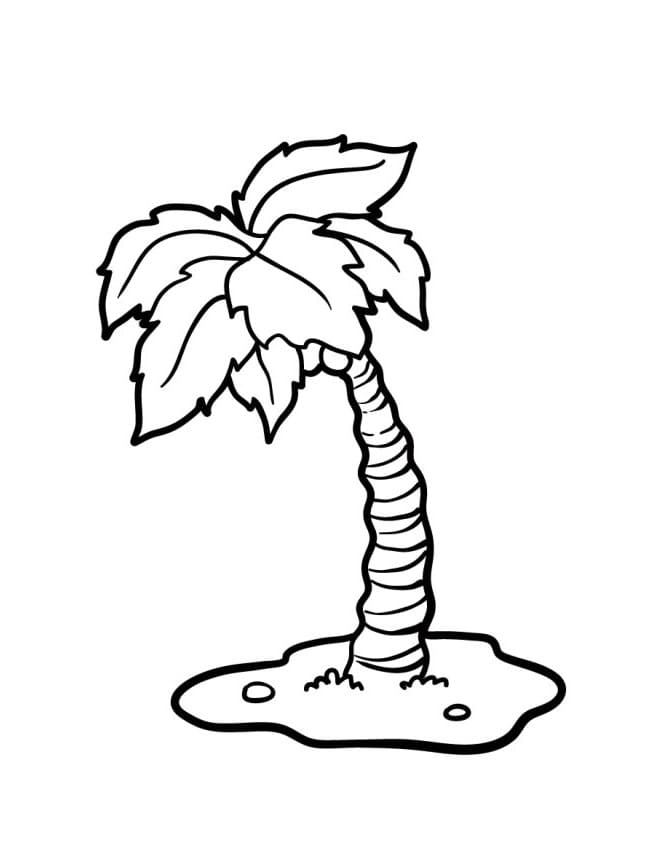 Palmboom gratis afbeelding