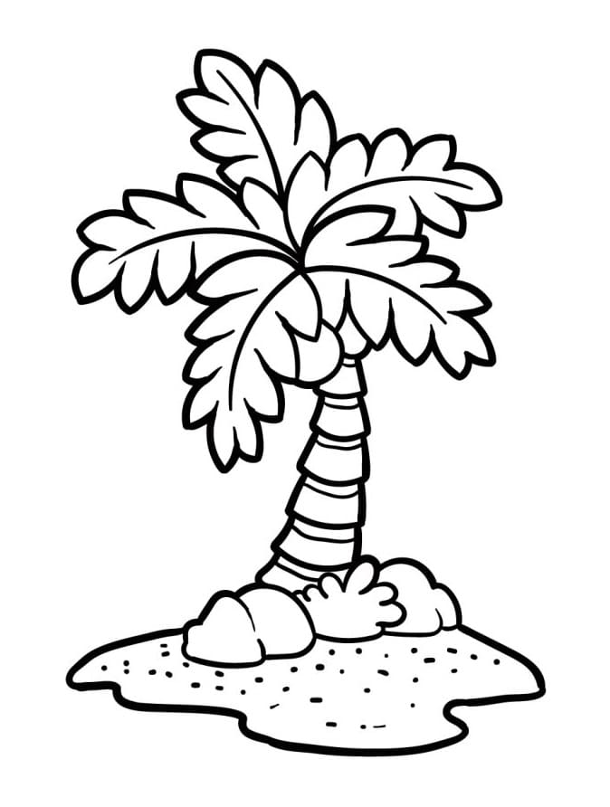 Palmboom gratis