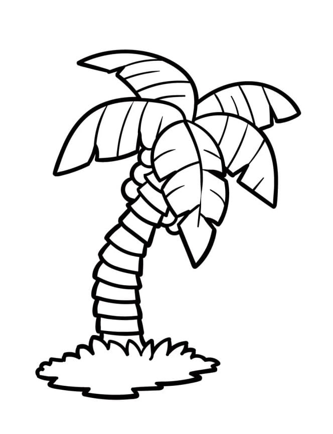Palmboom voor gratis gebruik