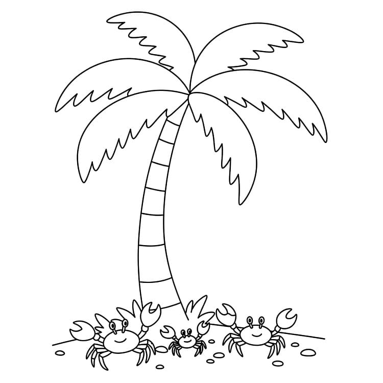 Palmboom voor kinderen van 2 jaar