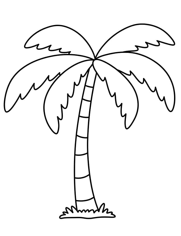 Palmboom voor kinderen van 5 jaar