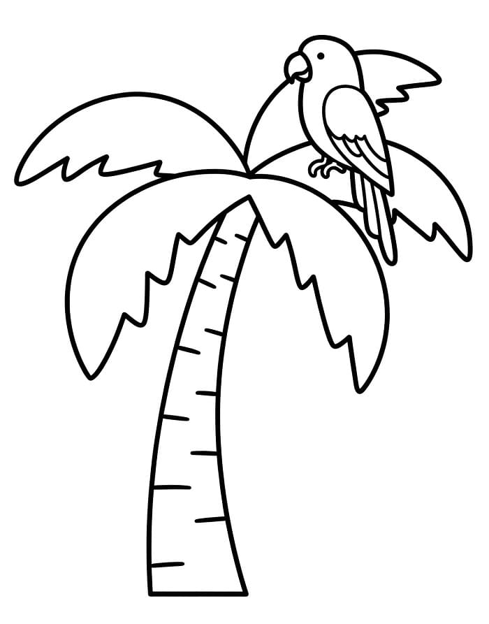 Palmboom voor kinderen van 6 jaar