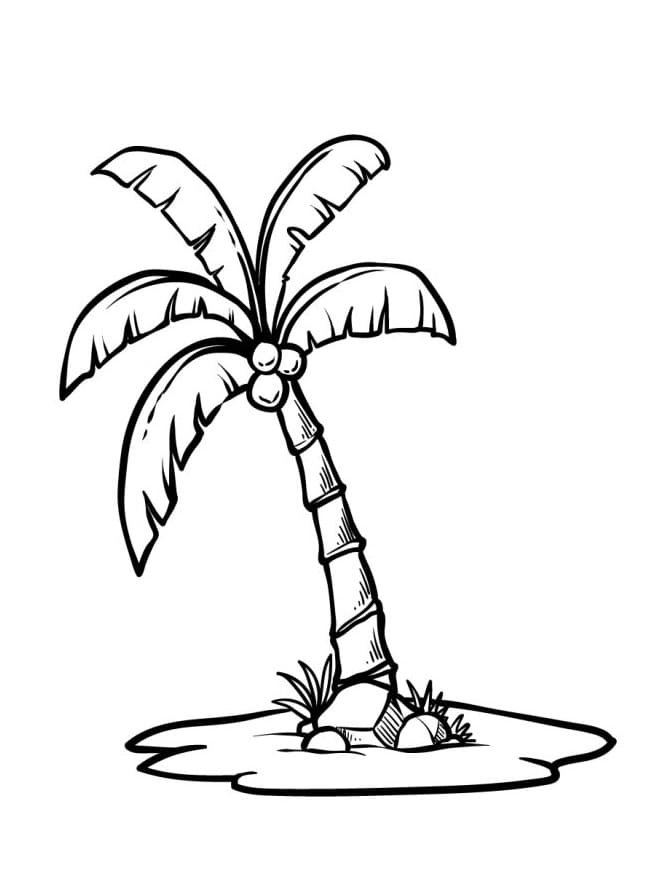 Palmboom voor kinderen