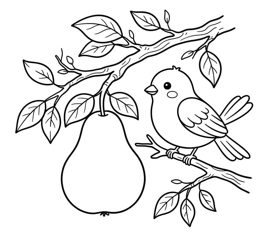 Peer en vogel