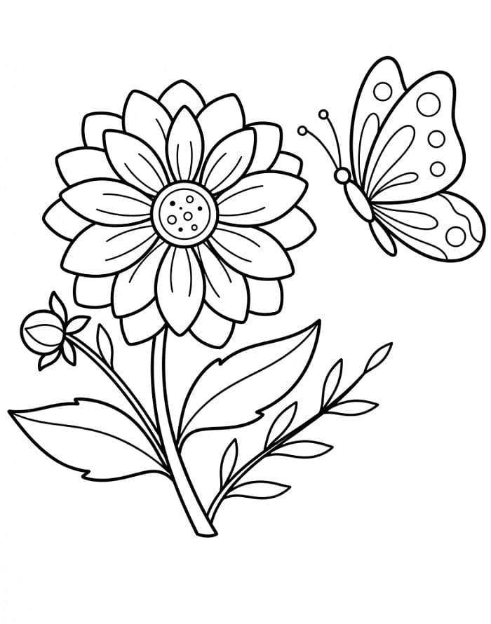 Perfecte Dahlia