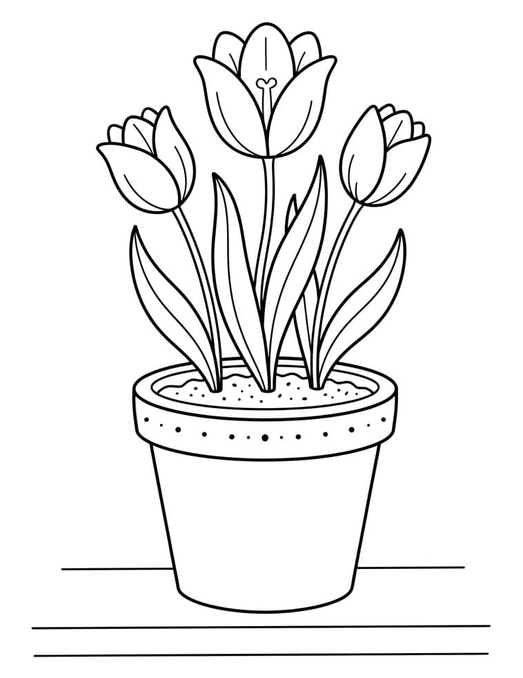 Perfecte Tulp