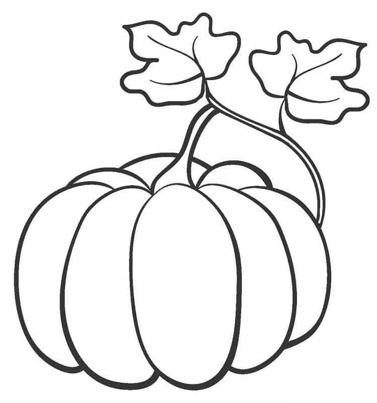 Pompoen kosteloos